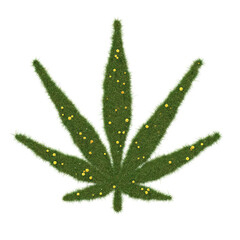 Marijuana leaf icon made of realistic grass. Isolated on white. 3D image.