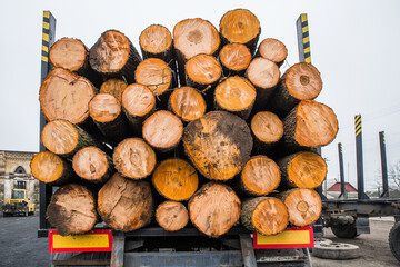 Wooden logs on a truck trailer.