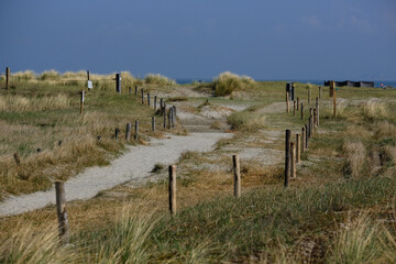 Tranquil picturesque landscape peaceful holiday vacation sandy dunes beach scenery at Belgian North...