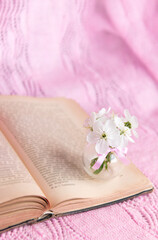 Open old book with white small flowers on a pink background