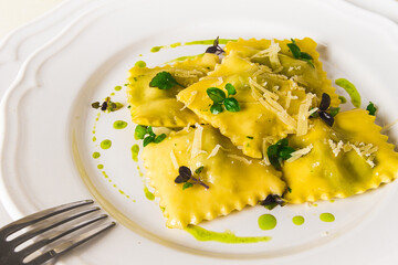 Ravioli with spinach and cheese, green sauce, on a light background, selective focus, no people,
