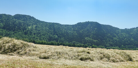 Landwirtschaft