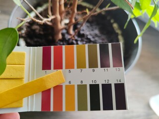 Papierki lakmusowe - badanie pH gleby