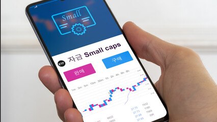 자금, small caps, 금 기금. 테마 펀드에 대한 투자를 다양화하십시오. 주식 거래소에 기금을 사십시오. 테마에 대해 추측합니다. 한국어로 된 텍스트. 한국어로 된 텍스트. etf