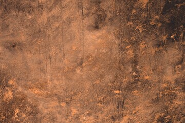 orange creative circle polished floor texture - beautiful abstract photo background