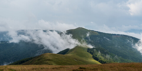 Carpathian mountains in Romania covered by meadow snad  deeo forest - Valcan mountains with Muncel hill