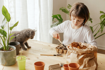 The girl is planting seeds for seedlings at home. Hobby for children and parents. Little helpers