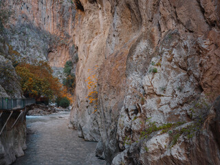 hiking along the Saklikent Gorge in Turkey. Saklikent Canyon is located in southern Turkey. It is 300 meters deep and 18 km long.