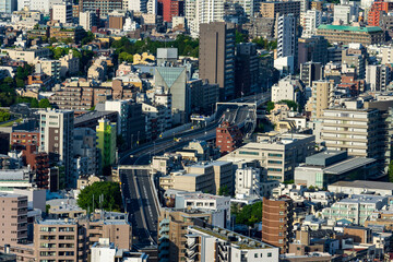 Fototapeta na wymiar Urban landscape with dense buildings at central Tokyo area.