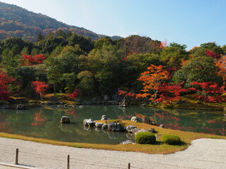 庭園の紅葉