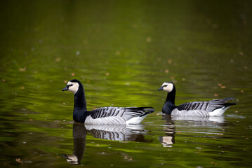 Morgens im Naturschutzgebiet