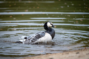 Morgens im Naturschutzgebiet