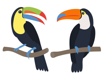 Fototapeta premium toucan on a branch flat design , isolated on white background, vector