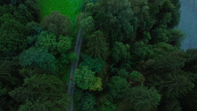 Group of professional cyclists ride on epic green forest trail countryside road in Norway. Warm time adventure at nordic destination. Cycle bike touring trend. Sustainable travel lifestyle concept