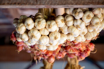 Photo of  bunch of onions hanging for drying under the house. Focus on a white onion in the front. Thai spice ingredients concept.