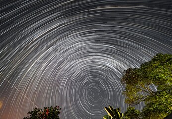 Star trails taken in a Sydney backyard with trees the foreground NSW Australia