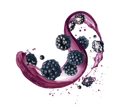 Blackberries in splashes of juice isolated on a white background