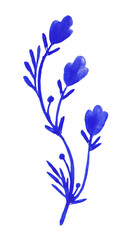 Fototapeta premium Blue flowers on white background. Watercolor illustration