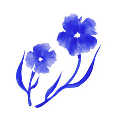 Watercolor branch with blue flowers isolated on white background