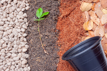 Pumice pebbles ,Volcanic rock, Dry leaves ,Coconut coir ,Soil and Young plant with  Black plastic pot