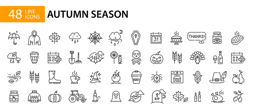 48 fall season icons. Thanksgiving, harvest and Halloween symbols. Pixel perfect, editable stroke line art