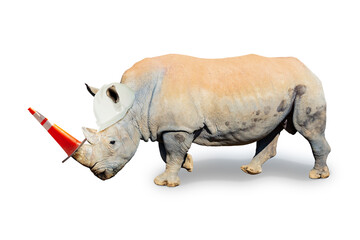 Construction concept rhino with road orange cone on horn