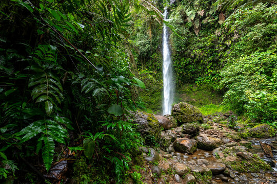 Cascada Hola Vida. Waterfall in Puyo. Tropical Green Rainforest in Amazon. Ecuador. South America.