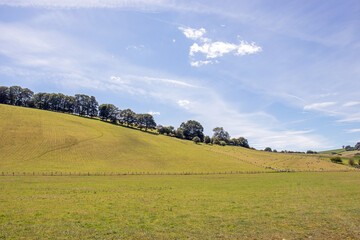 Fototapeta premium Landscape of Wales in the summertime sunshine.