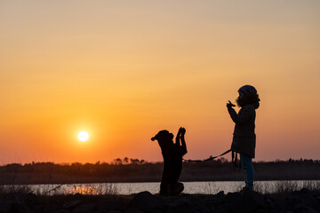 Fototapeta na wymiar A girl in a jacket trains a guard dog of the Rottweiler breed against the backdrop of a lake and sunset
