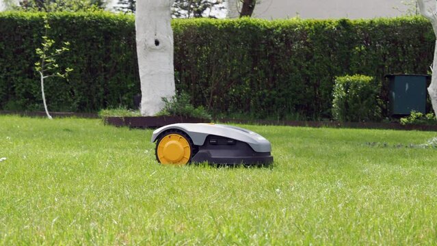 automatic lawn mower robot moves on the grass, 