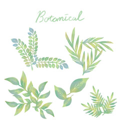botanical 