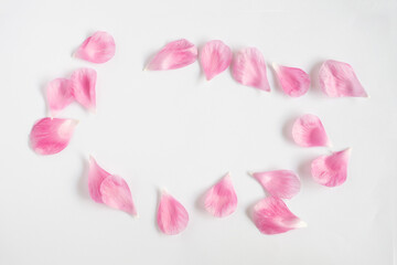 ラナンキュラスの花びら