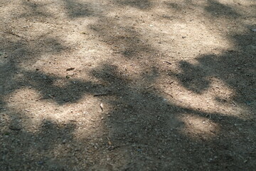 Texture d'ombres sur le sol pour fond et arrière-plan
