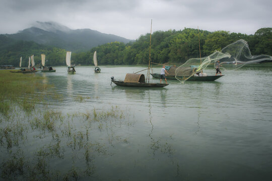 Zhejiang lishui lotus scenic areas with white sailing boats  and fishing boats