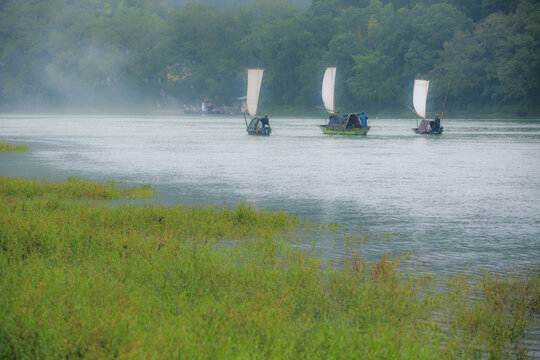 Zhejiang lishui lotus scenic areas