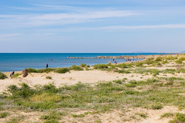 Fototapeta na wymiar Dunes de la plage du Petit Travers de Carnon, près de Montpellier, au printemps (Occitanie, France)