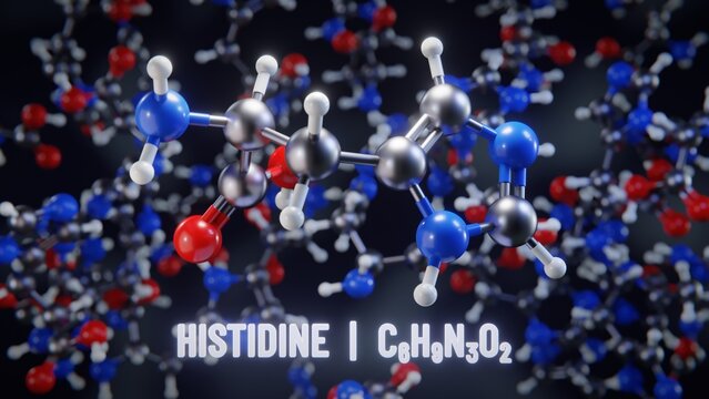 Histidine molecular structure. 3D illustration