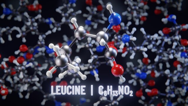 Leucine molecular structure. 3D illustration