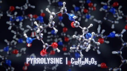 Pyrrolysine molecular structure. 3D illustration