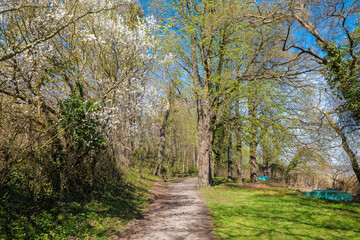 Fototapeta na wymiar Schaalsee, Germany. Hiking path. The lake was declared a biosphere reserve in 2000.