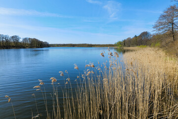 Schaalsee, Germany. The lake was declared a biosphere reserve in 2000.