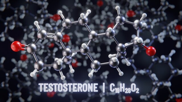 Testosterone molecular structure. 3D illustration