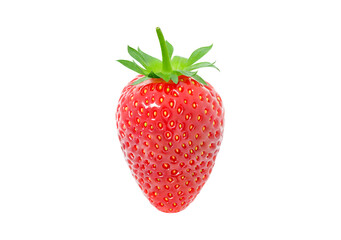 Strawberry, one berry, isolated on white background with clipping path, element of packaging design. Full depth of field.