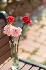 Four carnations in a vase. sunny day