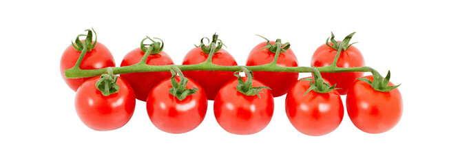 Cherry tomatoes on branch, isolated on white background with clipping path, element of packaging design. Full depth of field.