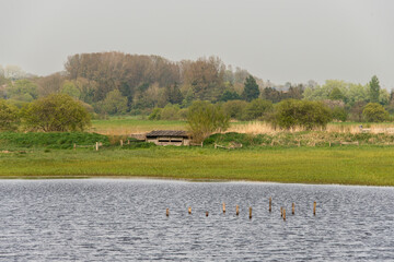 Observatoire, Les marais des Ponts d'Ouve, Parc Naturel Régional des Marais du Cotentin et du Bessin, Normandie, Manche, 50