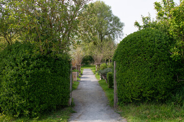 Le Jardin des têtards, Les marais des Ponts d'Ouve, Parc Naturel Régional des Marais du Cotentin et du Bessin, Normandie, Manche, 50