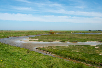 Baie des Veys, Pointe de Brévands, Parc Naturel Régional des Marais du Cotentin et du Bessin,...