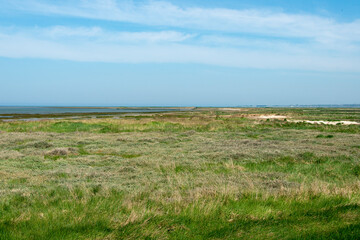 Baie des Veys, Pointe de Br&eacute;vands, Parc Naturel R&eacute;gional des Marais du Cotentin et du Bessin, Manche, 50