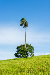 Paisagem do Polo Cuesta